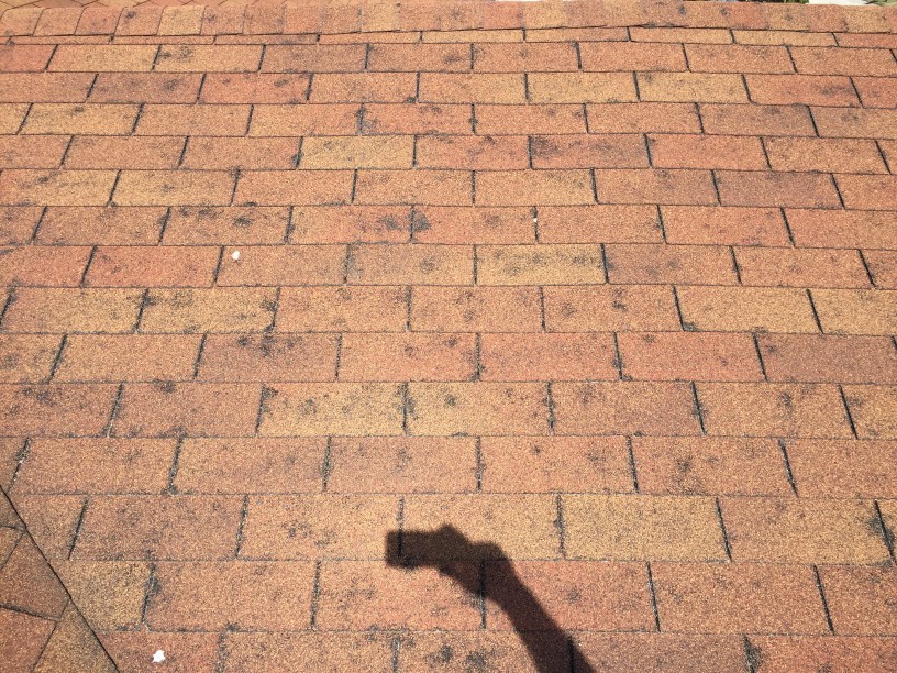 severe-storm-caused-hail-damage-to-the-shingle-roof-on-a-house_t20_ZYz6vg (1) hail damage on roof