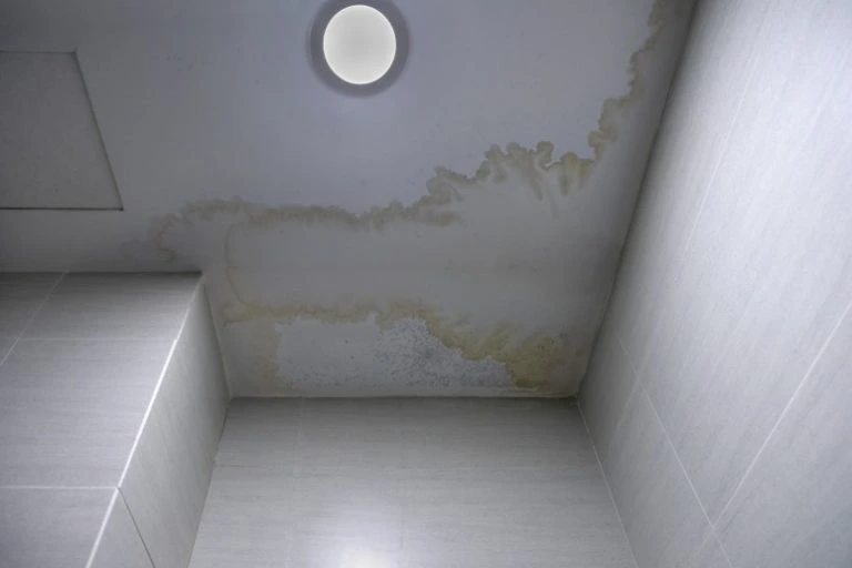 leaking-roof-damaged-ceiling-mildew-stains-on-the-ceiling-due-to-flooding leaking roof damaged ceiling mildew stains on the ceiling due to flooding
