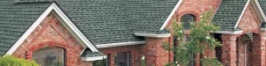 shingle roof replacement in Atlanta