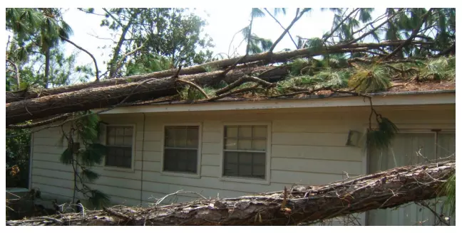 storm damage debris